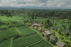 Banyuwangi Buka Rute Emas Wisata Ijen, Temukan Pesona Alam dan Budaya yang Tersembunyi