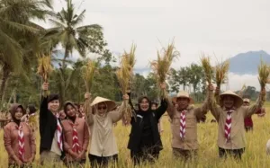 Sinergi Petani dan Pemkab, Banyuwangi Tembus Rekor Surplus Padi dan Jagung 2025