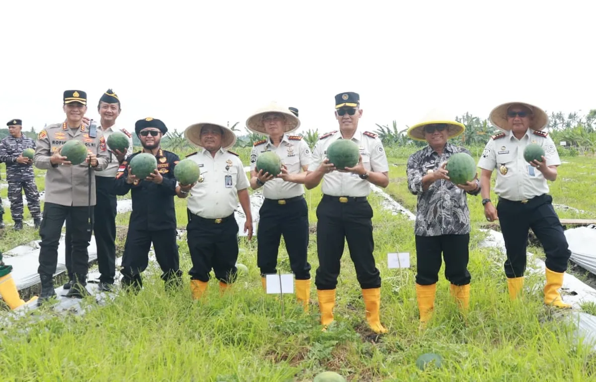 Sinergi Pemasyarakatan dan Pemkab Banyuwangi, Panen Raya Semangka Dorong Kemandirian Warga Binaan