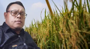 Menjaga Ketahanan Pangan: Manfaat Nyata dan Tantangan Pengawasan di Tingkat Akar Rumput