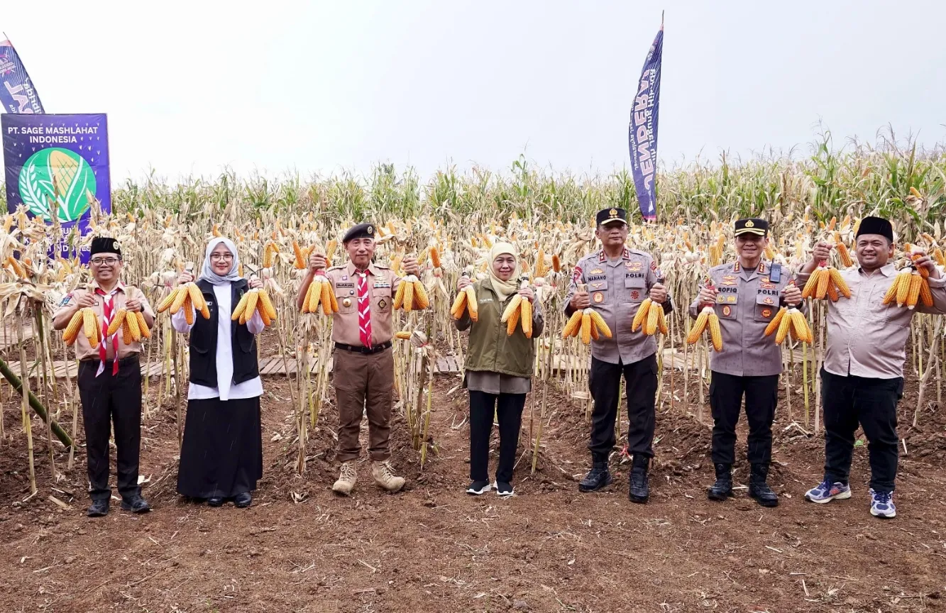 Panen Raya Jagung Banyuwangi 2026, Gubernur Khofifah dan Kapolda Jatim Turun Langsung Perkuat Kedaulatan Pangan