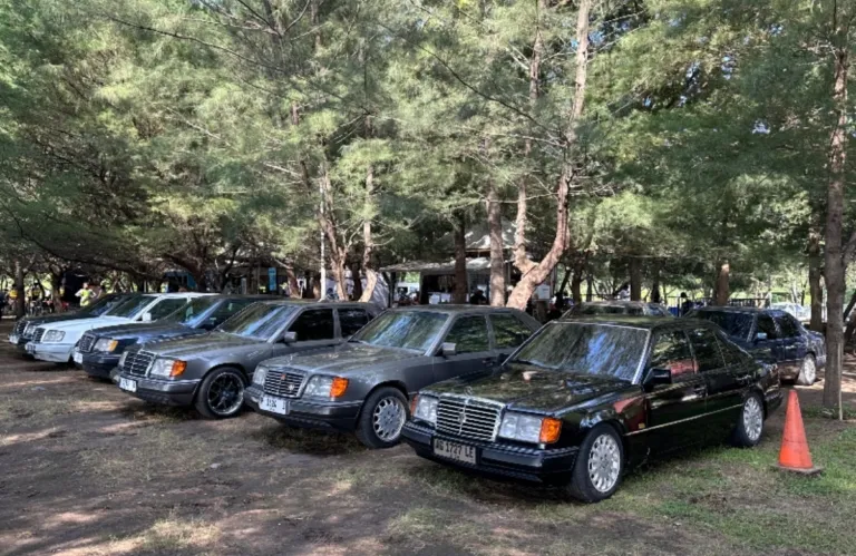 Konvoi Mercy Boxer di Banyuwangi! Jamnas Mercy 7 Jadi Ajang Nasional Penuh Kejutan