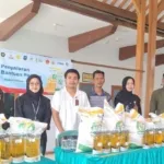 Kabar Baik! Ratusan Ribu Warga Banyuwangi Dapat Bantuan Beras dan Minyak Goreng 2026
