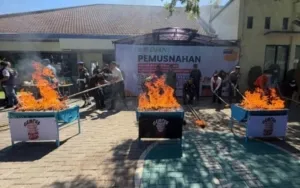 Bea Cukai Banyuwangi Musnahkan Rokok dan Miras Ilegal Senilai Rp1,25 Miliar, Selamatkan Potensi Kerugian Negara Rp788 Juta