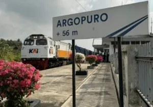 KAI Logistik Uji Coba Kereta Angkut Hasil Pertanian Banyuwangi-Jakarta, Buah Naga Jadi Muatan Perdana