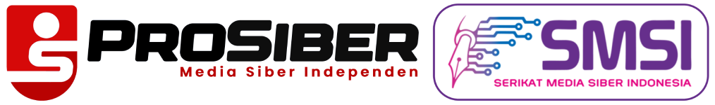 Pro Siber footer image